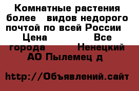 Комнатные растения более200видов недорого почтой по всей России › Цена ­ 100-500 - Все города  »    . Ненецкий АО,Пылемец д.